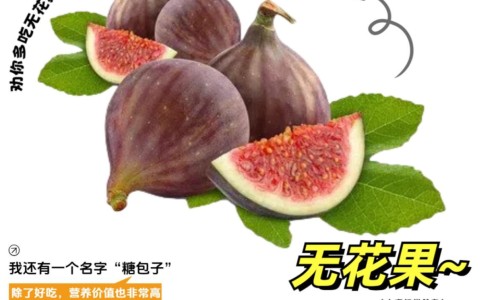 夜交藤的作用及禁忌-夜交藤的图片欣赏网 - 为你提供夜交藤的副作用及禁忌、夜交藤的来源与功效