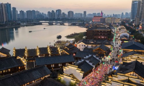 夜交藤药材图片-夜交藤的图片欣赏网 - 为你提供夜交藤的副作用及禁忌、夜交藤的来源与功效